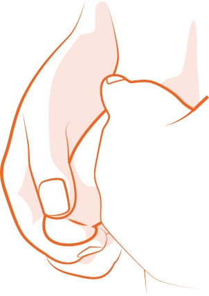 penis stretching exercise
